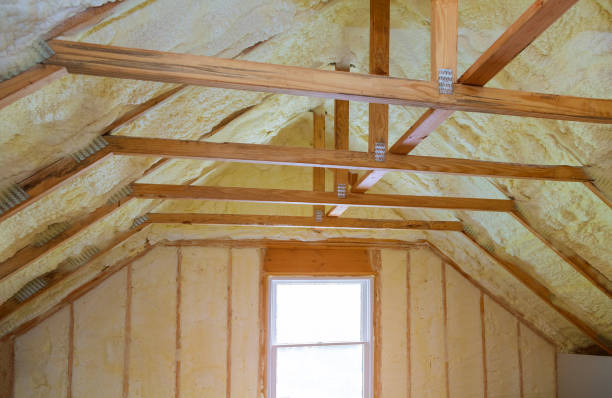 Best Specialized Insulation Services in Paw Paw, MI