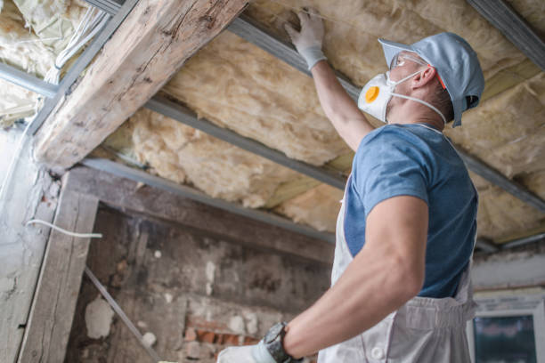 Best Energy Efficiency Insulation in Paw Paw, MI