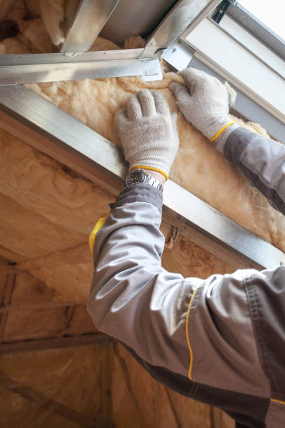 Best Geographic-Specific Insulation Services in Paw Paw, MI