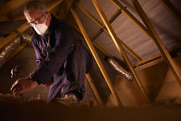 Best Spray Foam Insulation in Paw Paw, MI