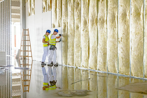 Best Blown-in Insulation in Paw Paw, MI